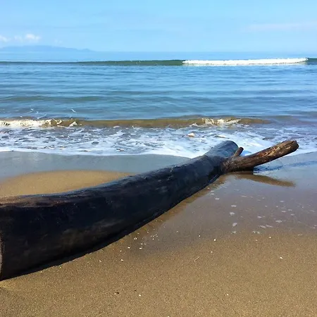 Campsite Village Camping Hawaii *